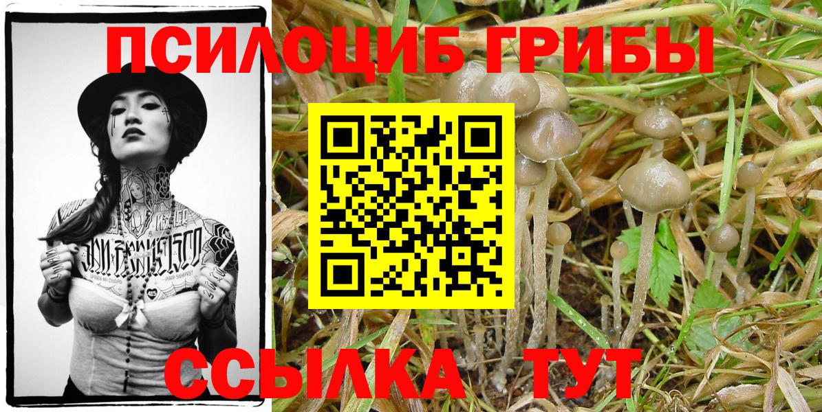 Галлюциногенные грибы мухоморы Ступино